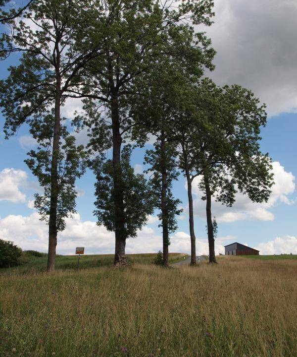 Photo of Others in Elbersreuth