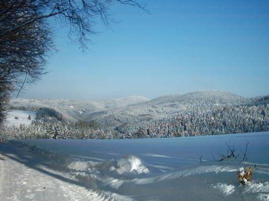 Photo of Others in Elbersreuth