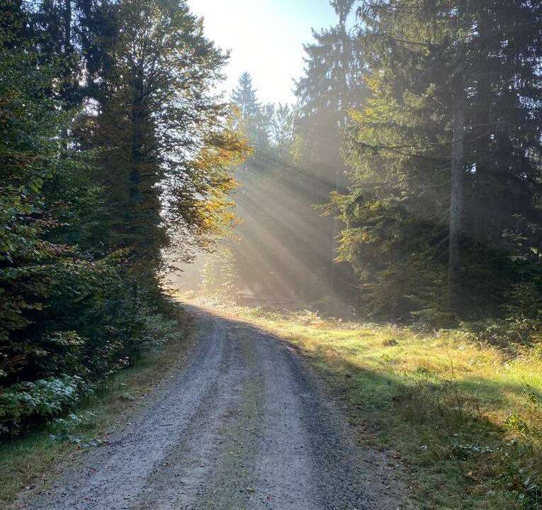 Photo of Others in Neureichenau