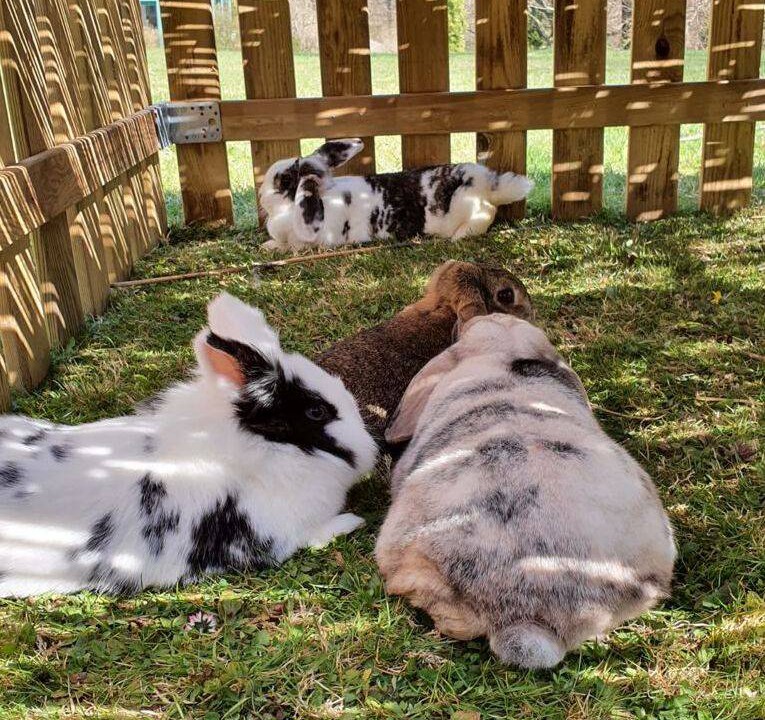 Photo of Others in Wessobrunn