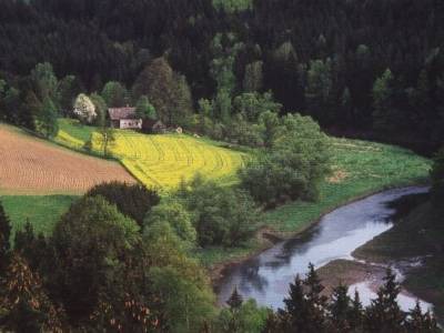 Photo of Others in Vohenstrauss