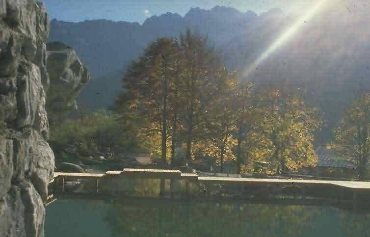 Photo of Others in Hinterstein