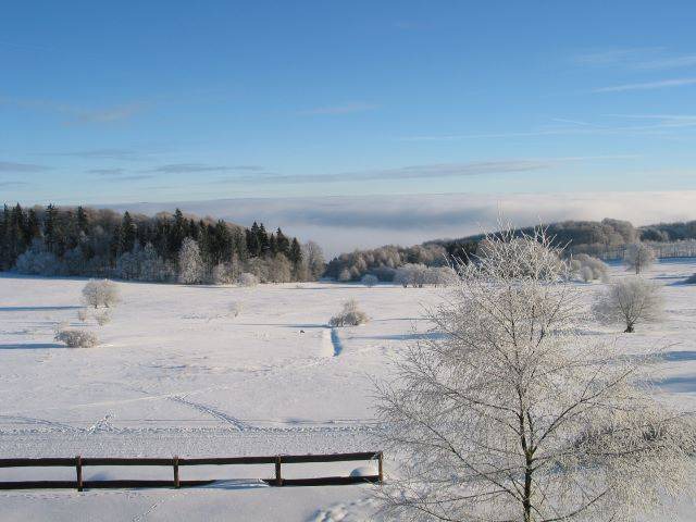 Photo of Others in Fladungen