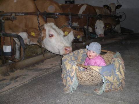 Photo of Others in Weissbach an der Alpenstrasse