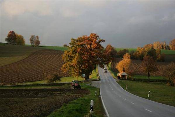 Photo of Others in Bernried