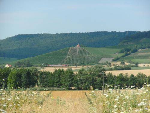 Photo of Others in Oberschwarzach