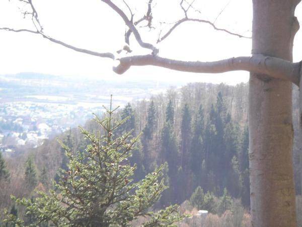 Photo of Others in Elbersreuth