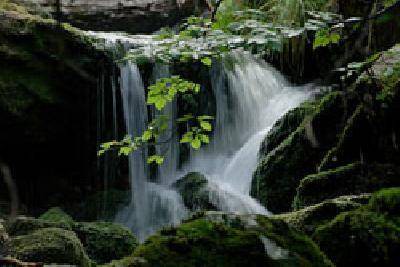 Photo of Others in Bayerisch Eisenstein
