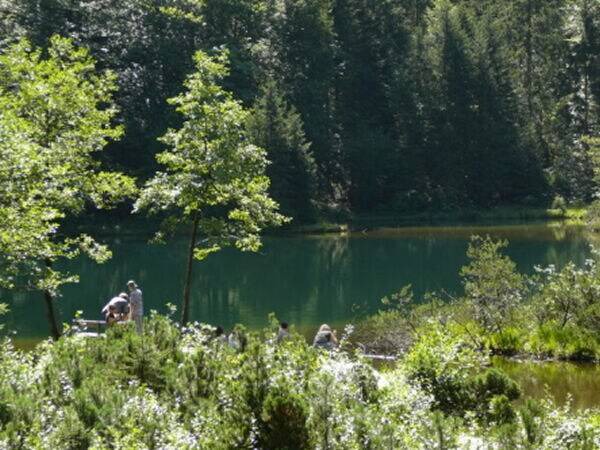 Photo of Others in Inzell