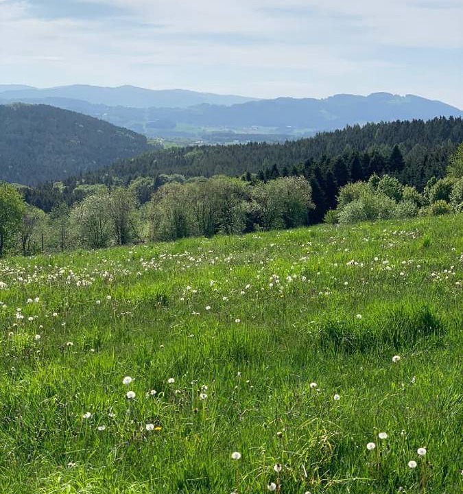 Photo of Others in Traitsching