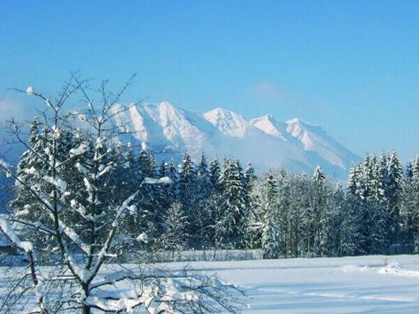 Photo of Others in Inzell