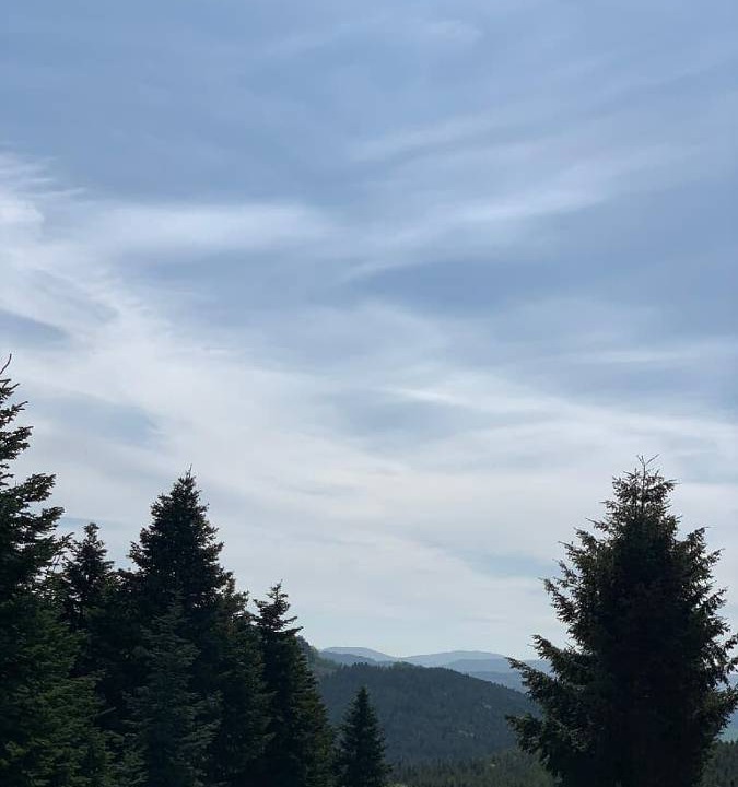 Photo of Others in Traitsching