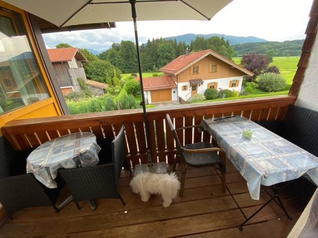 Photo of Others in Teisendorf