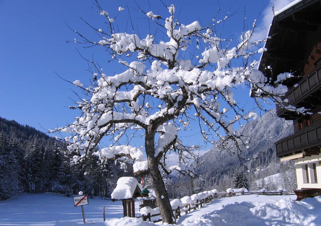 Photo of Others in Muhlthal