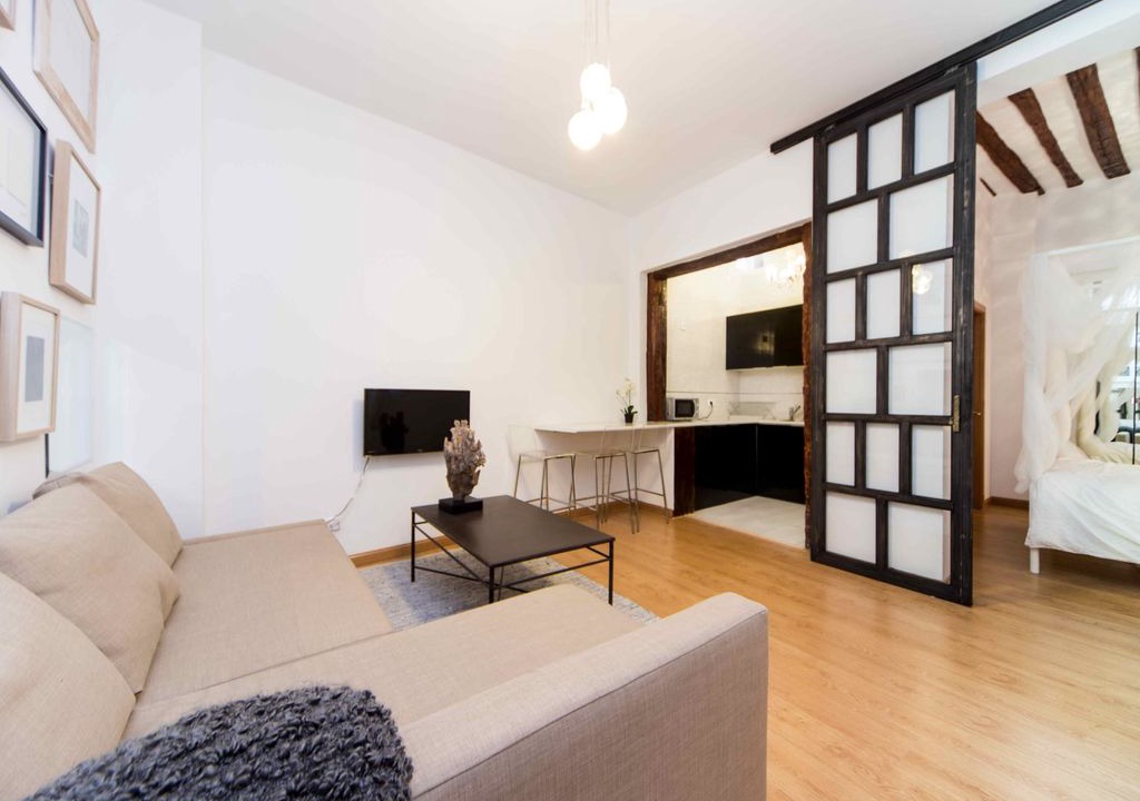 Photo of Livingroom in Barrio de las Letras
