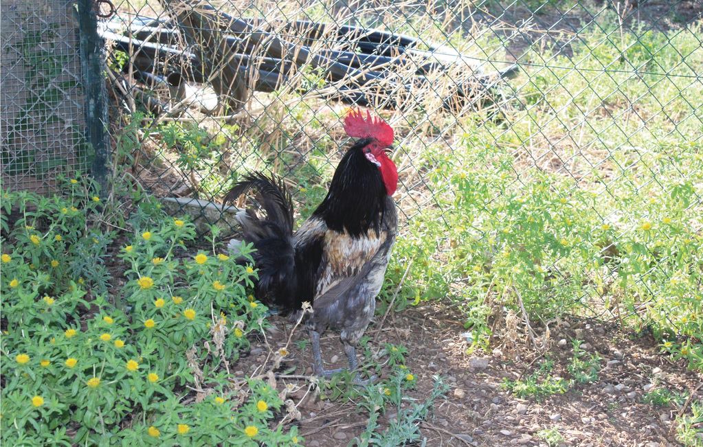 Photo of Others in Hornachuelos