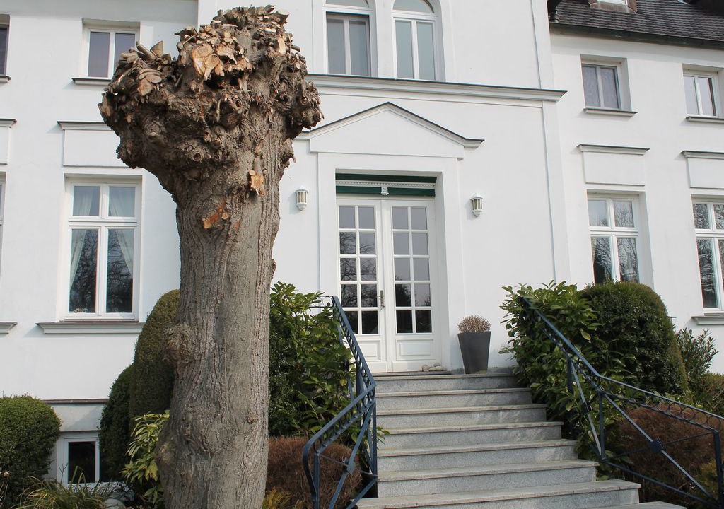Photo of Buildings in Steffenshagen