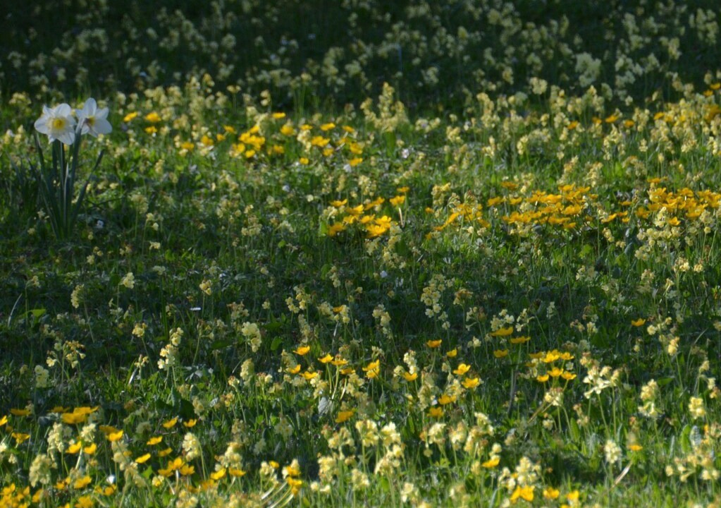 Photo of Outdoor in Bad Bayersoien