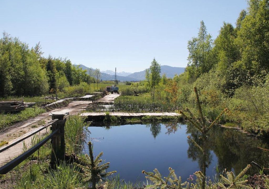 Photo of Outdoor in Sonnen