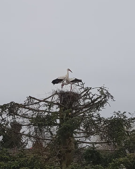 Photo of Others in Raisting