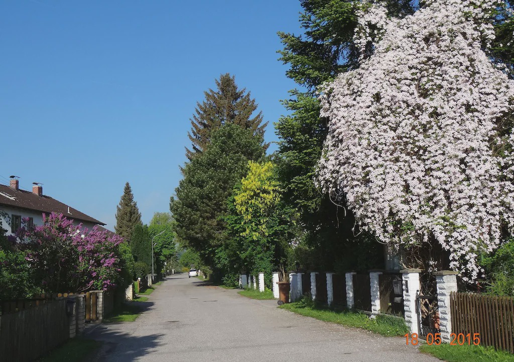 Photo of Buildings in Raisting