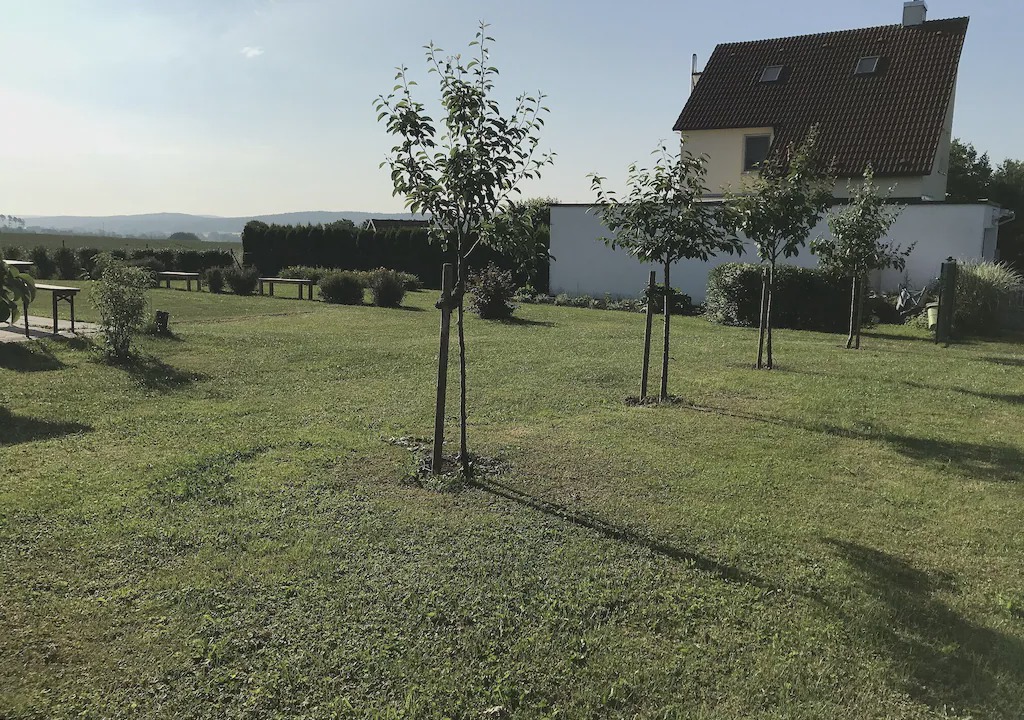 Photo of Others in Markt Taschendorf
