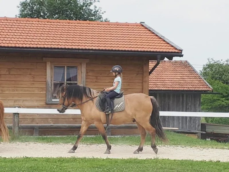 Photo of Others in Neureichenau