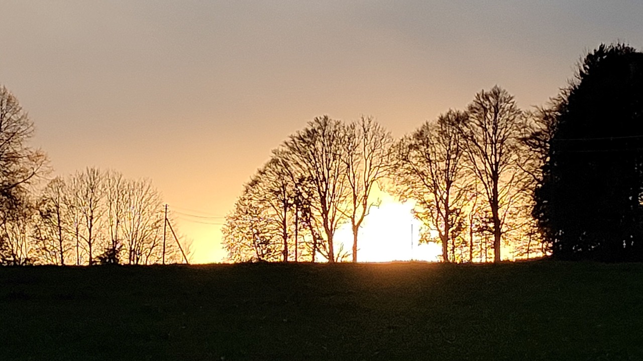 Photo of Others in Warngau