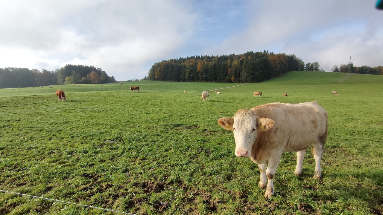 Photo of Outdoor in Warngau