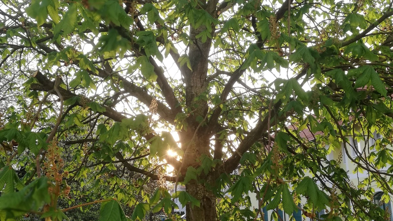 Photo of Outdoor in Altenerding