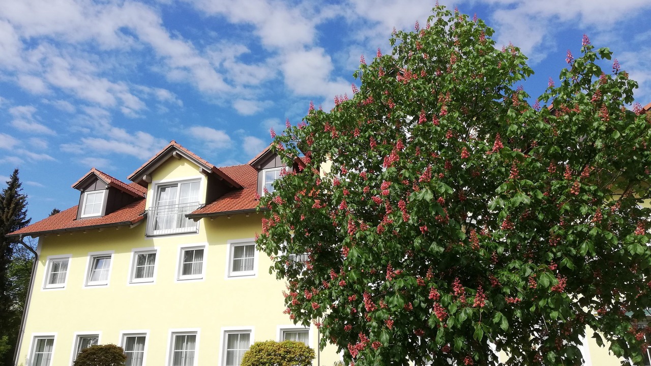 Photo of Outdoor in Altenerding