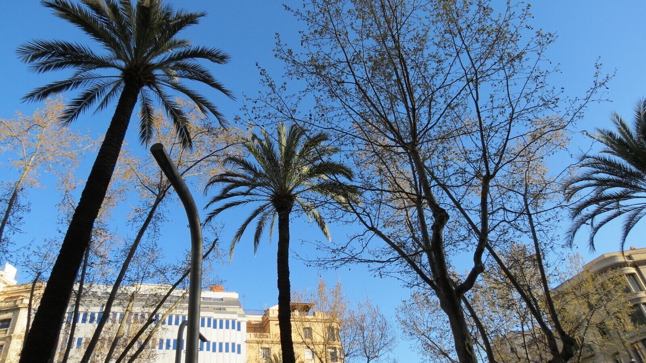 Photo of Outdoor in Sant Gervasi