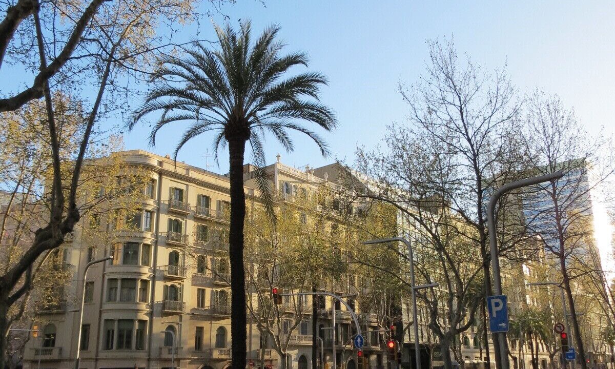 Photo of Outdoor in Sant Gervasi