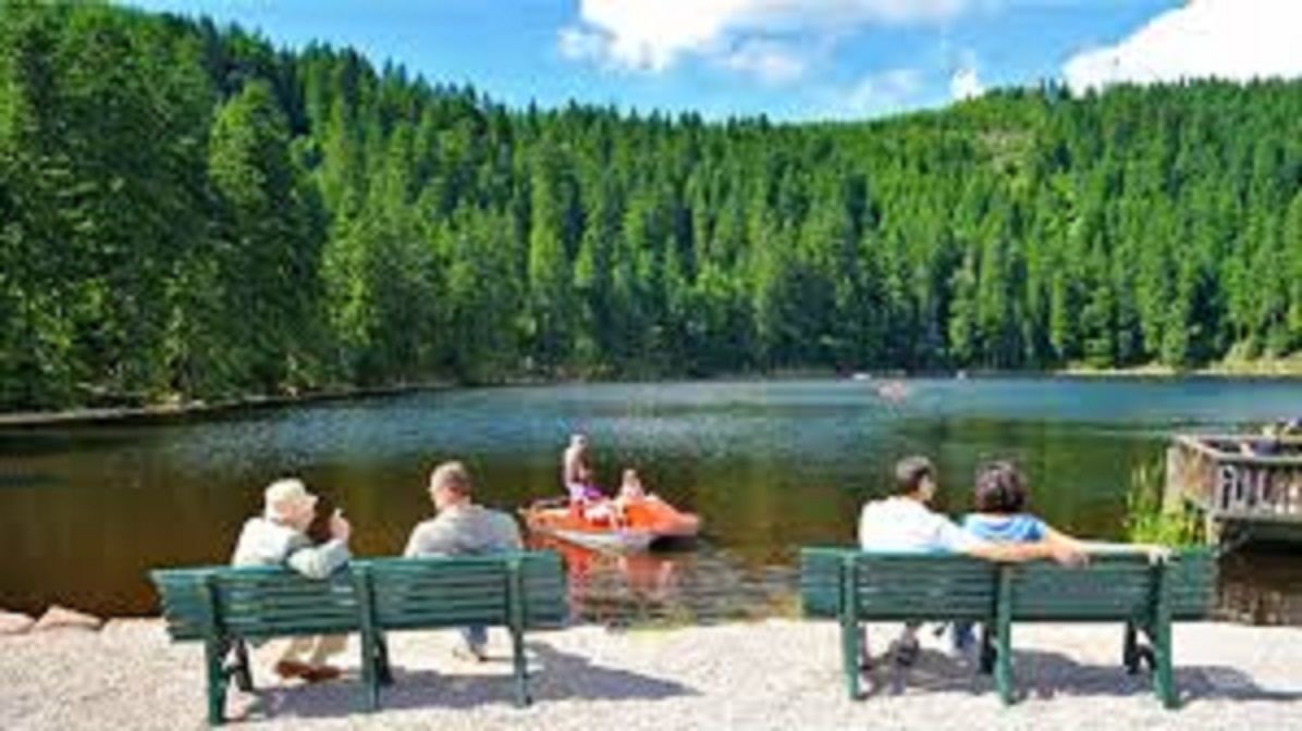 Photo of Others in Schoenwald