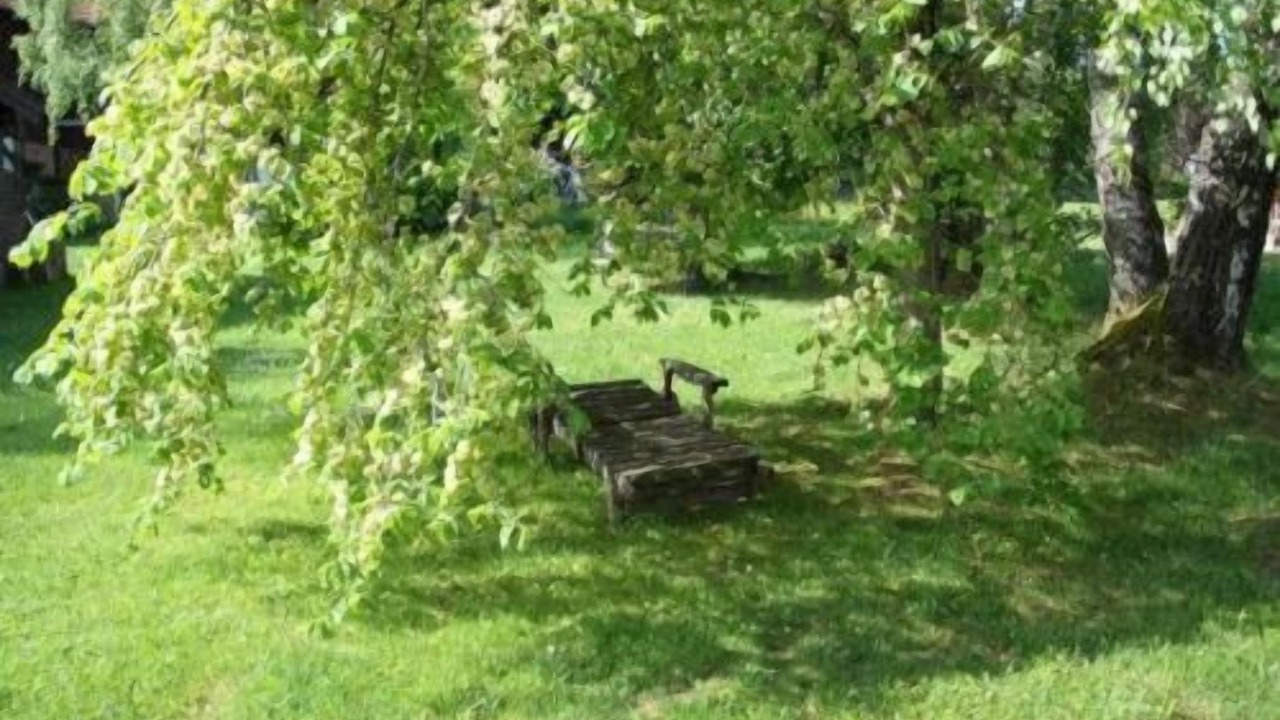 Photo of Outdoor in Wonneberg