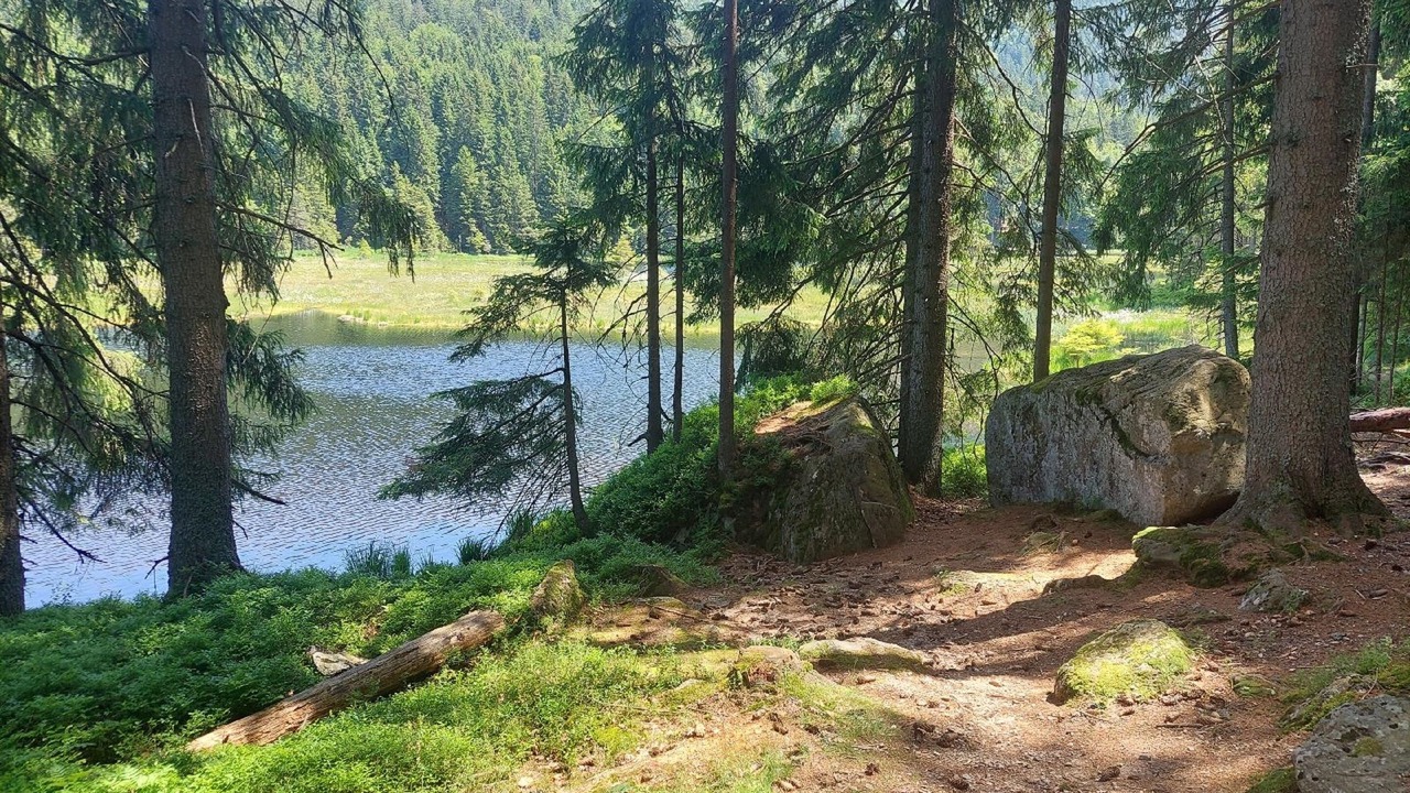 Photo of Others in Bayerisch Eisenstein