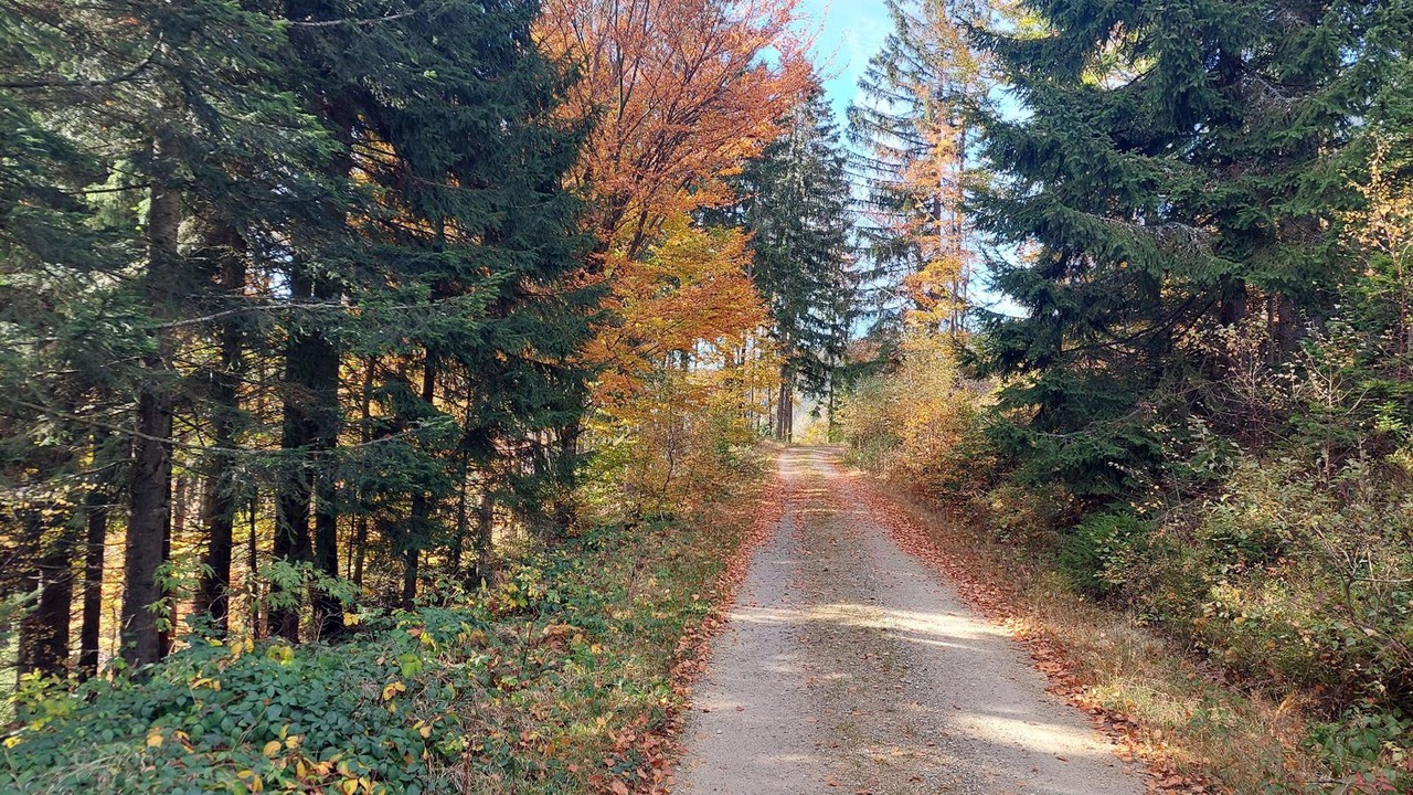 Photo of Outdoor in Bayerisch Eisenstein