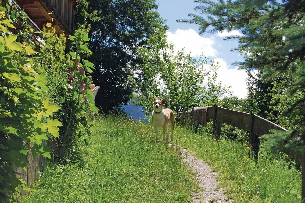 Photo of Outdoor in Alpbach