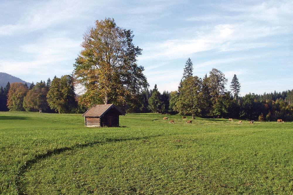 Photo of Outdoor in Fischbachau