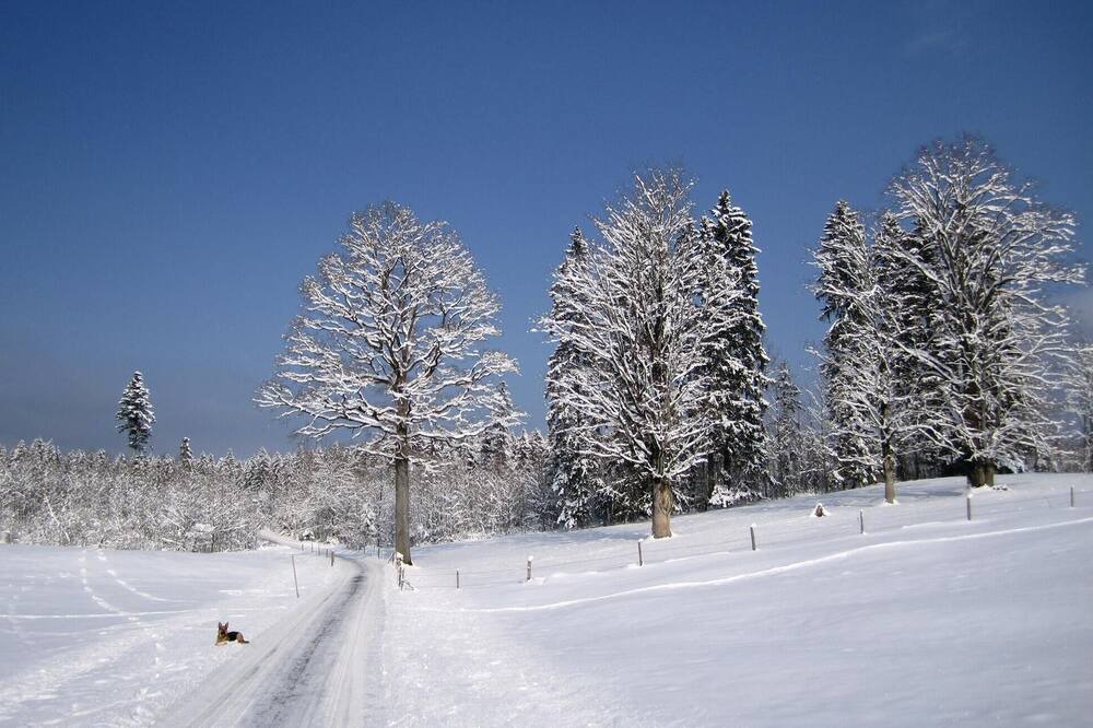 Photo of Outdoor in Fischbachau