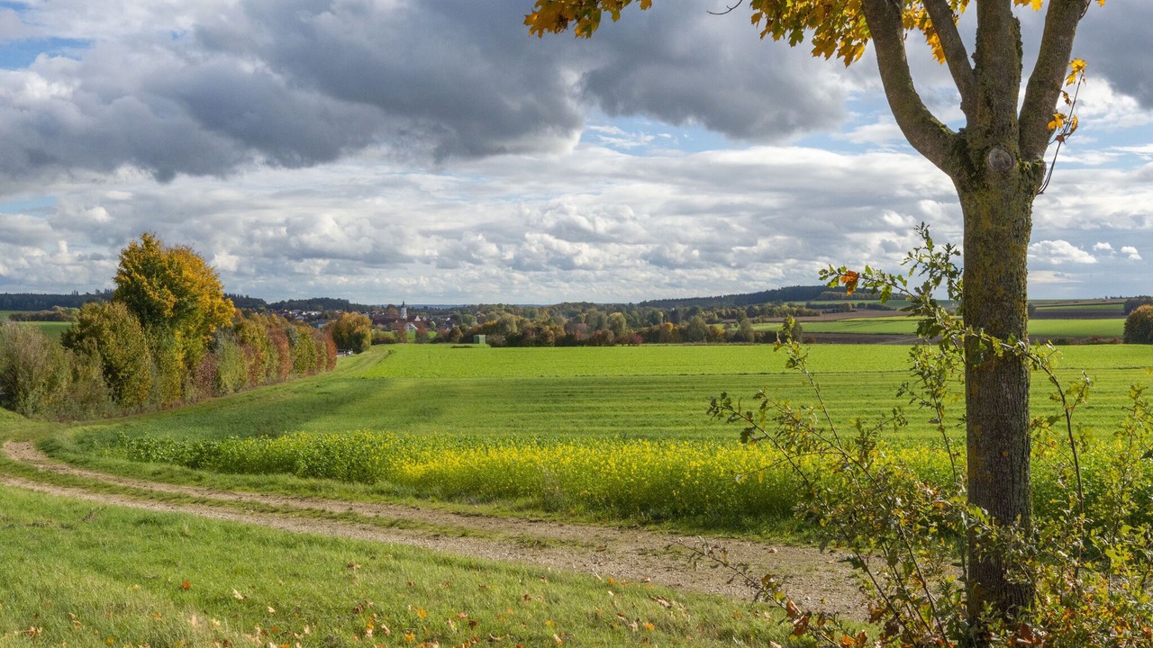 Photo of Outdoor in Haunsheim
