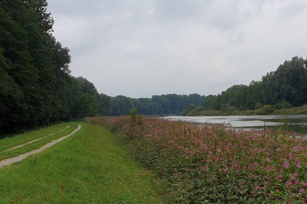 Photo of Outdoor in Lauingen