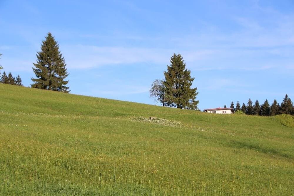 Photo of Others in Philippsreut