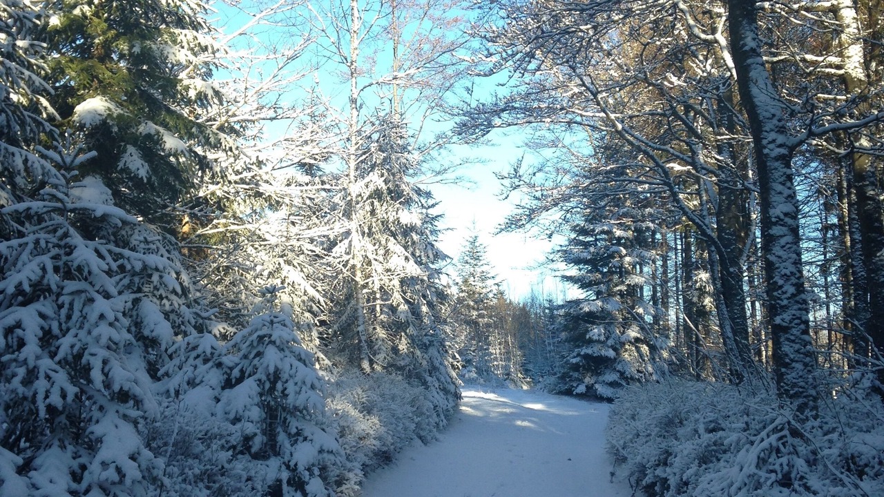 Photo of Outdoor in Mauth