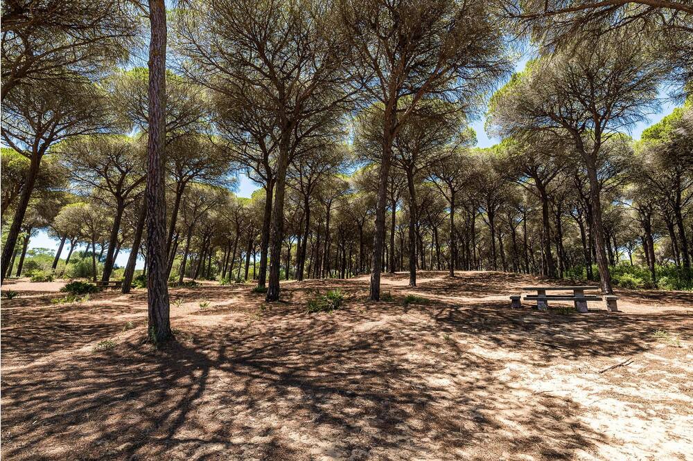 Photo of Others in Brena y Marismas de Barbate Natural Park