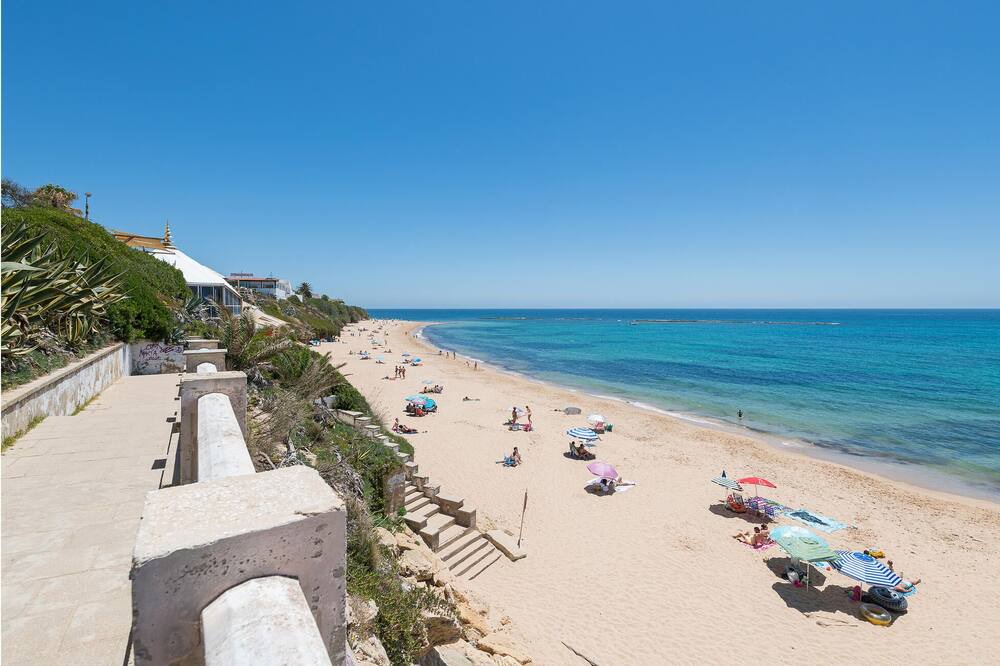 Photo of Others in Brena y Marismas de Barbate Natural Park