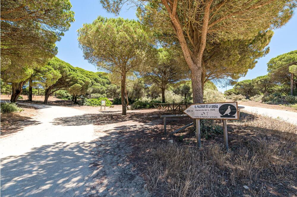 Photo of Others in Brena y Marismas de Barbate Natural Park
