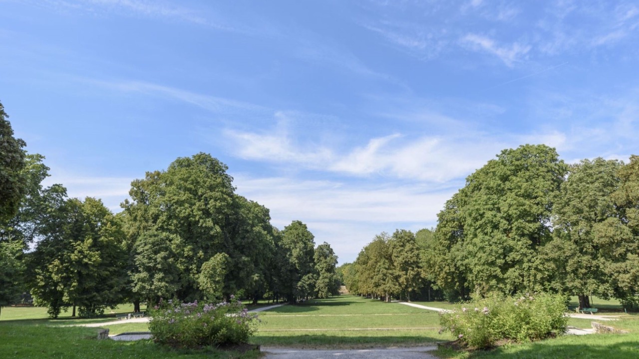 Photo of Others in Schwabing-West