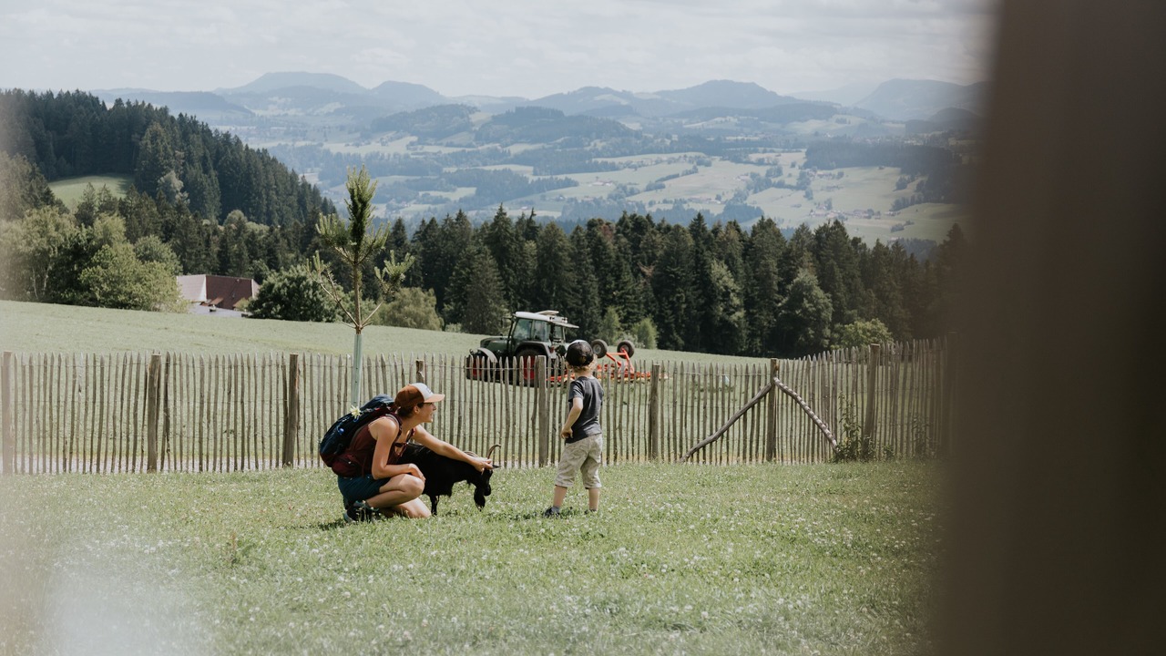 Photo of Others in Scheidegg