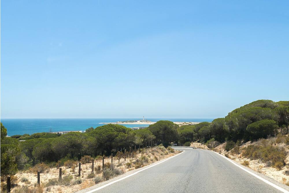 Photo of Others in Brena y Marismas de Barbate Natural Park